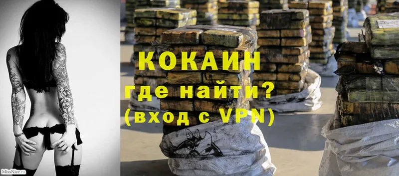 Cocaine FishScale  мега как войти  Курильск 